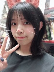 -大象造型