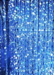 -尚·丹尼Hair