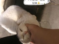 -张记牛肉面馆(天津路店)