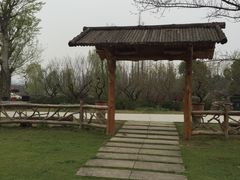 -秀丽东方
