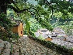-杨家堂村