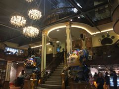 -more than meow吴止猫主题餐厅(承德 中船汇店)