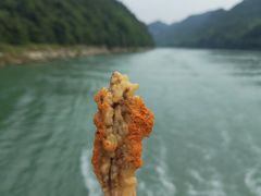 -乌江画廊(彭水苗族土家族自治县)