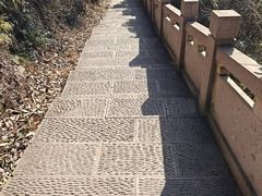 -杭州半山国家森林公园