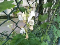 -成都中医药大学(温江校区)