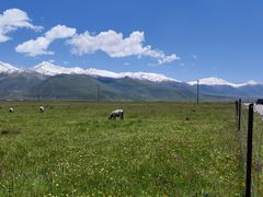 -祁连山·岗什卡雪峰景区