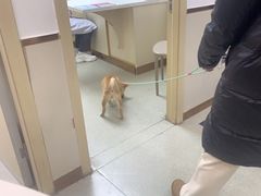 -宠颐生宠物医院·心肾内科·猫专科诊疗中心宠巢店