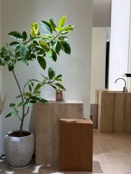 -WM Hair Salon精品店