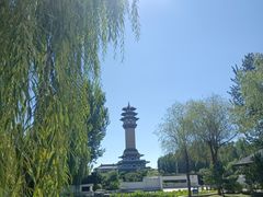-廊坊市自然公园