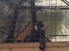 -海南热带野生动植物园