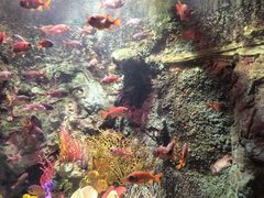 -太平洋海底世界