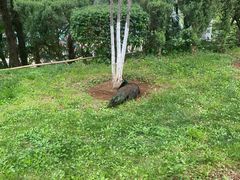 -昆明动物园