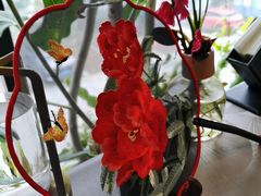 -龙井御庄·精致江南菜(龙井店)