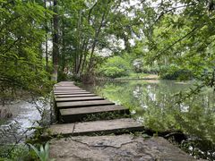 -桤木河湿地公园