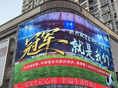 -溱湖国家湿地公园