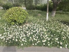 -函谷关历史文化旅游区