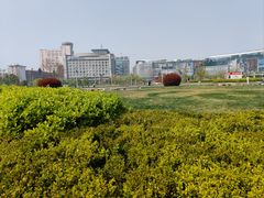 -泉城广场