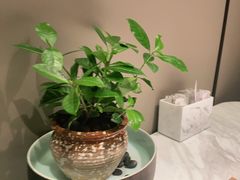 -宴昆山·私房菜(春晖店)