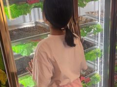-老滇山寨•云南特色菜•地方菜•民族风情歌舞表演(呈贡店)