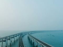-星海湾跨海大桥