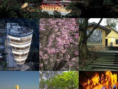 -南山植物园
