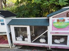 -上海崇明金茂凯悦酒店