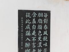 -桃花堤公园