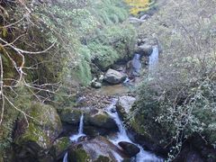 -苍山感通索道