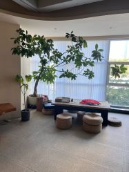 点击看大图 -阿南达·瑜伽普拉提·阿育吠陀疗愈中心