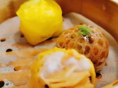 点心三拼-伯衡55·吉品轩(乌鲁木齐南路店)