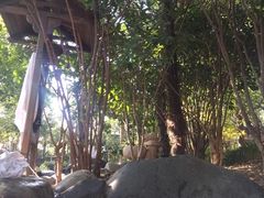 -金凤凰温泉度假村·凤凰汇中餐厅