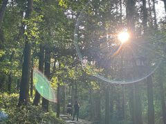 -冶父山国家森林公园