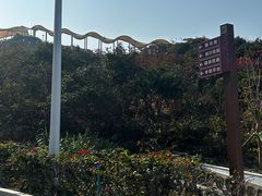 -东澳岛