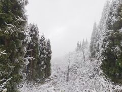 -太阳湾风景区