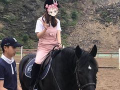 -枫露马术学院(藏书校区)
