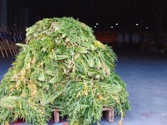 -鄞州雪菜博物馆