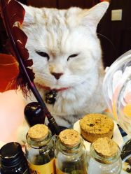 -TWOFACE双面理发馆