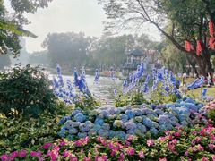 -荔湾湖公园