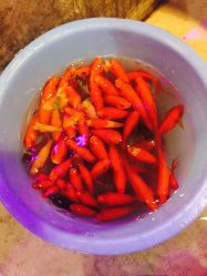 卡通尼乐园(金桥广场店)-卡通尼·Safari非洲探索乐园·生日会(金桥国际商业广场店)