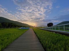 -风云岭森林公园