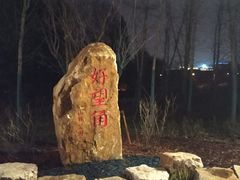-上海市保健医疗中心(华东疗养院)