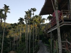-海南槟榔谷黎苗文化旅游区