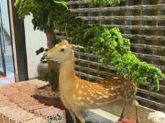 -健眺小海鲜(临海后山店)