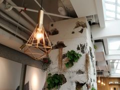 -农畉LONFOOD(福田星河COCOPark店)