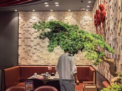 -蝎王府羊蝎子(西直门店)