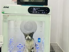 -爱洗澡的猫(望京店)