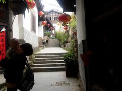-后柳水乡