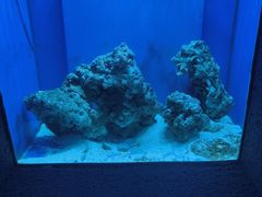 -石家庄海洋公园