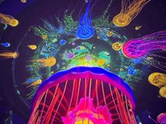 -海合安成都极地海洋公园