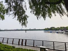 -长春市南湖公园
